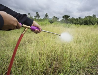 Property Size and Layout