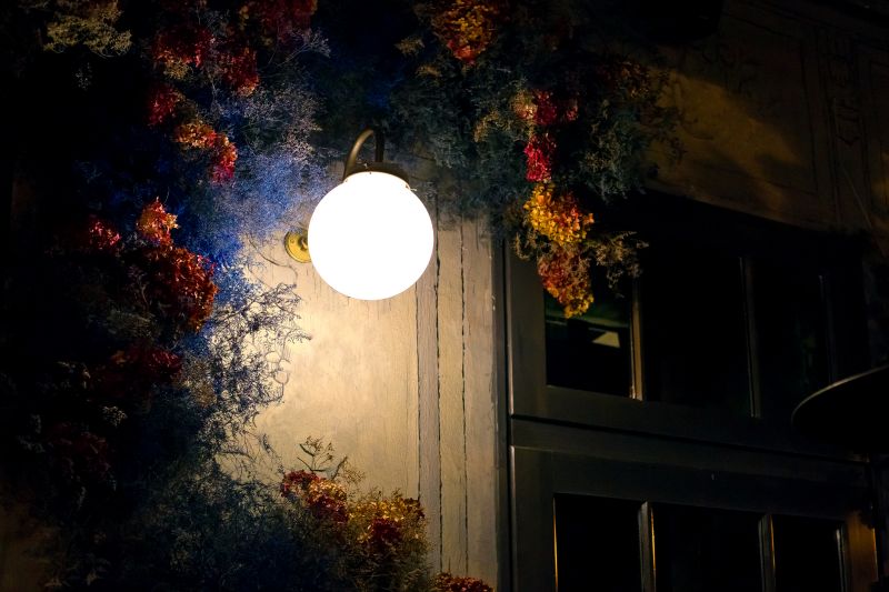 Courtyard Light Installation in Alpharetta, GA