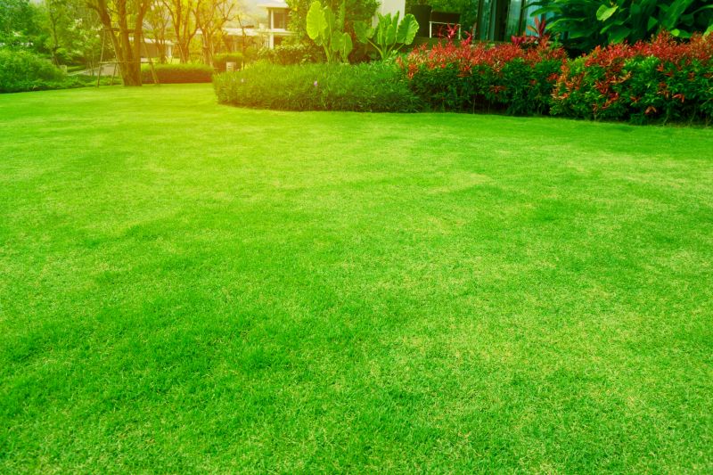 Healthy Lawn Result