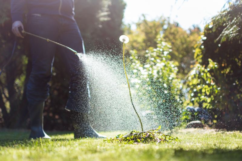 Lawn Weed Control in Aiken, SC