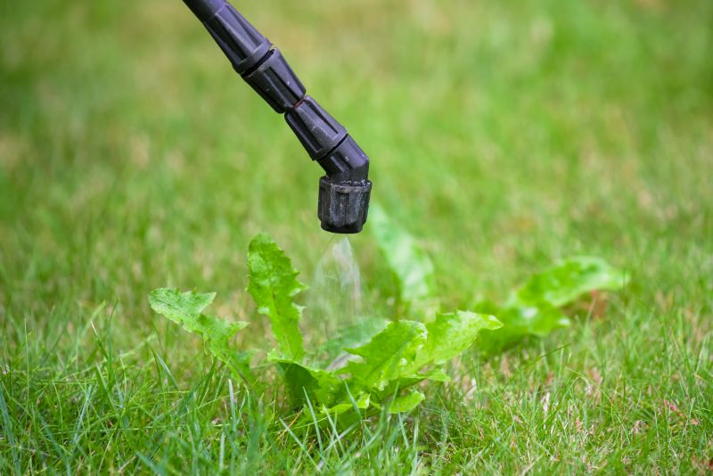 Slope Weed Control in Honolulu, HI